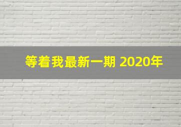 等着我最新一期 2020年